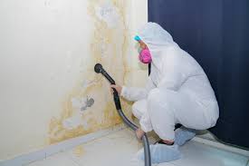 Why You Should Choose Our Mold Remediation Services in Dulles Town Center, VA